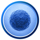 CREATIVE MEDICAL TECHNOLOGY HOLDINGS, INC.