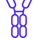 ALX ONCOLOGY HOLDINGS INC