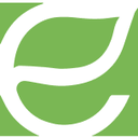 ENERGY FOCUS, INC/DE