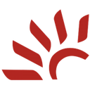 Canadian Solar Inc. logo