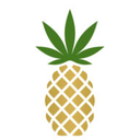 PINEAPPLE, INC.