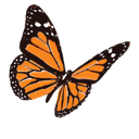 Algernon Pharmaceuticals Inc.