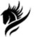 Cardiff Lexington Corp