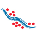 LARAMIDE RESOURCES LTD